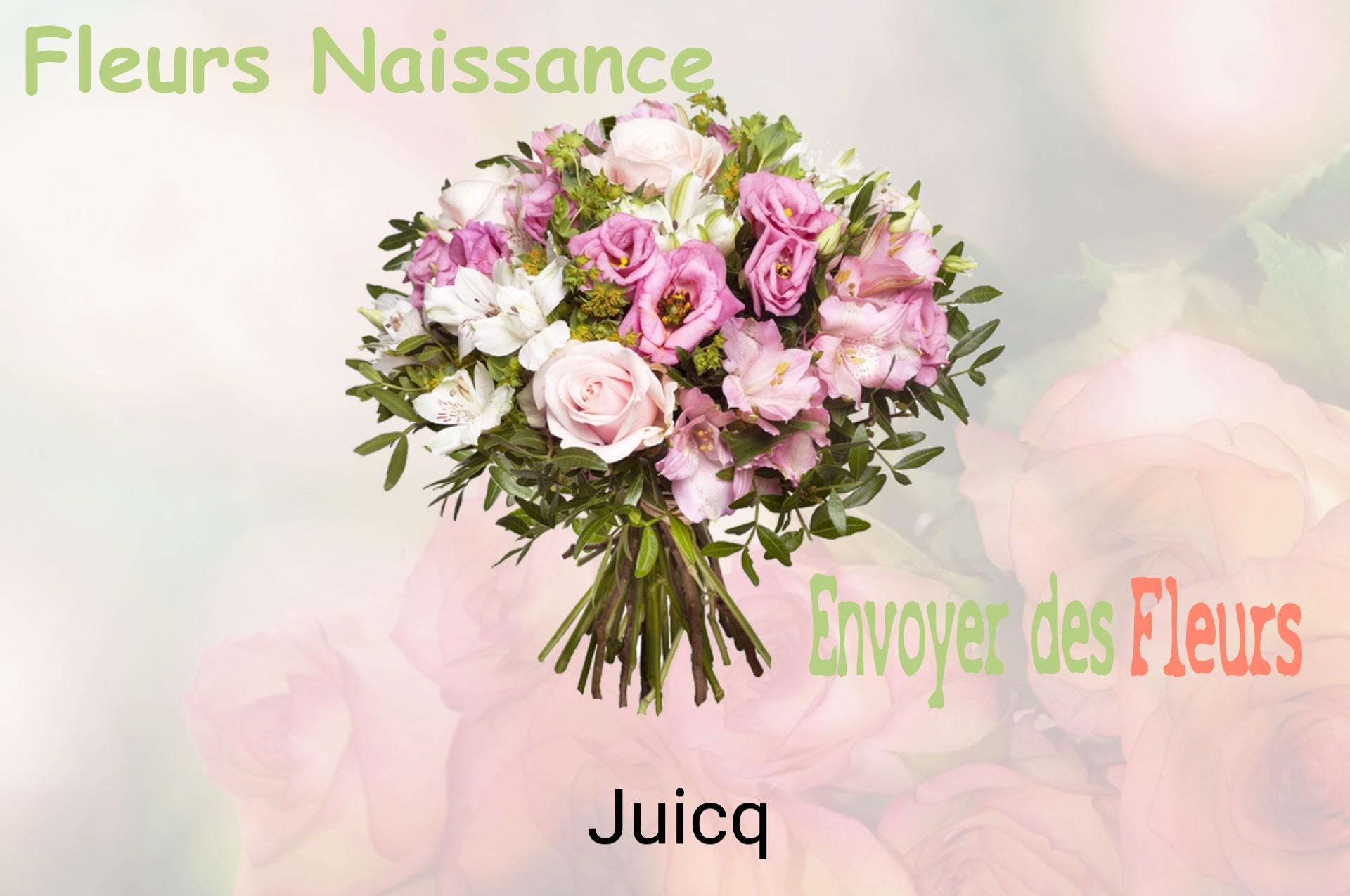 Bouquet de fleurs de naissance livré à Juicq