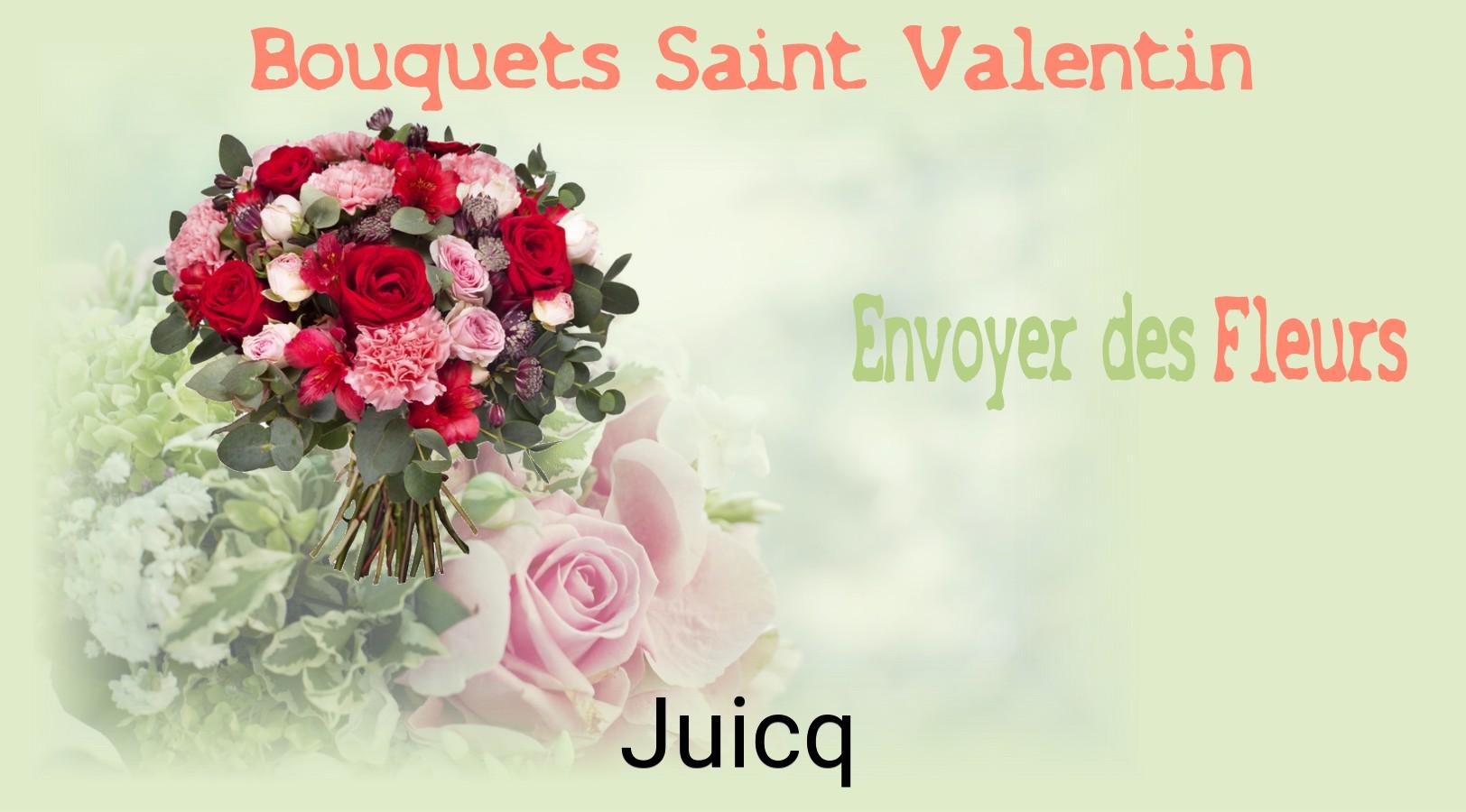 Roses de Saint-Valentin livrées à Juicq