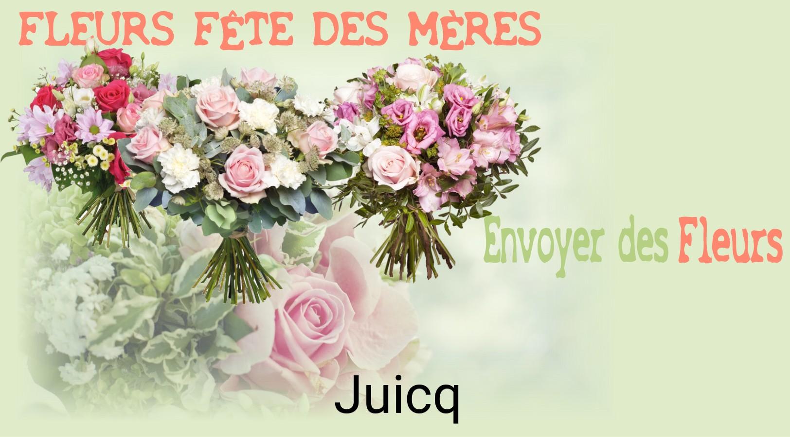 Bouquet de Fête des Mères livré à Juicq